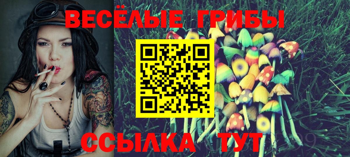 Псилоцибиновые грибы прущие грибы  Вход с VPN  Луховицы 